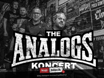 Koncert zespołu The Analogs, support The United Tears